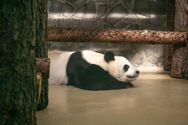 Similar image 22230345