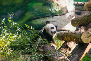 Similar image 22230346