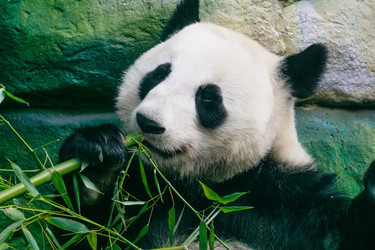 Similar image 22230347