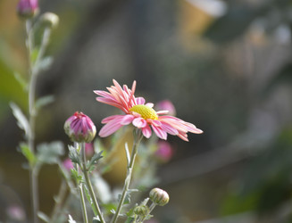 Similar image 22230250