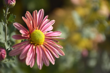 Similar image 22230251