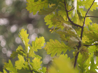 Similar image 22230253