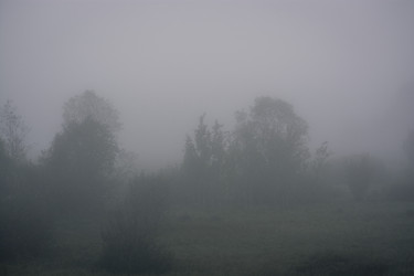 Similar image 22229746