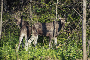 Similar image 22230357