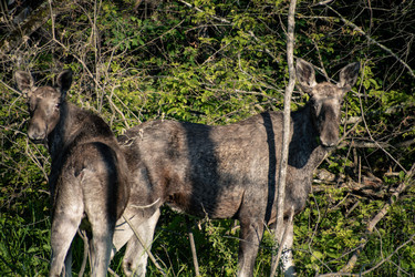 Similar image 22230358