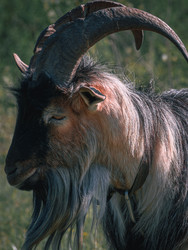 Similar image 22230359