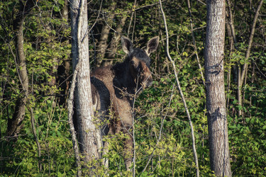 Similar image 22230360