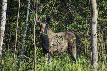 Similar image 22230361