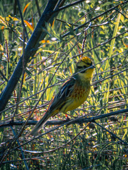 Similar image 22230362