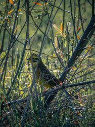 Similar image 22230363