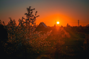 Similar image 22229748