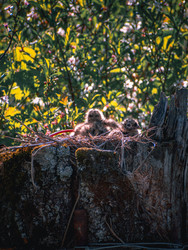 Similar image 22230365