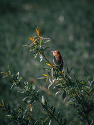 Similar image 22229751