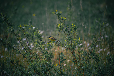 Similar image 22230366