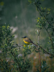 Similar image 22230367