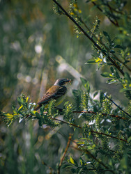 Similar image 22230369