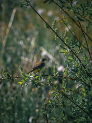 Similar image 22230370