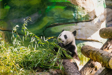 Similar image 22230595