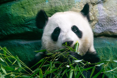 Similar image 22230596