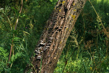 Similar image 22230597