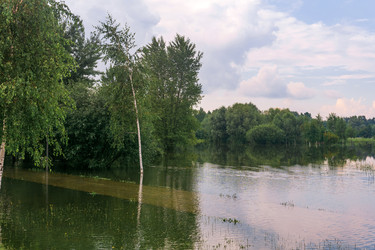 Similar image 22230602