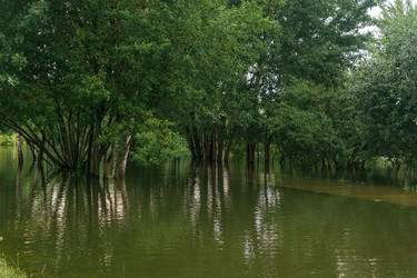 Similar image 22230603