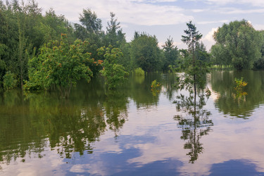 Similar image 22230604