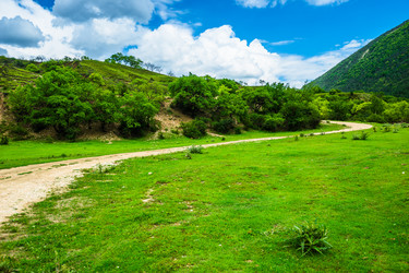 Similar image 22231385