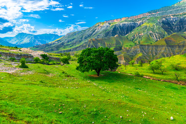 Similar image 22231392