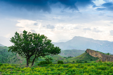 Similar image 22231400