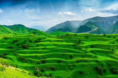 Similar image 22231403