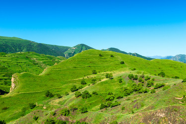 Similar image 22231408