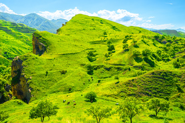 Similar image 22231611