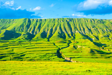 Similar image 22231614