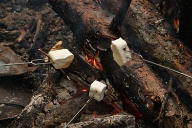 Similar image 22230258