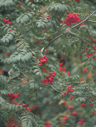 Similar image 22230398