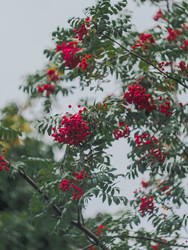 Similar image 22230399