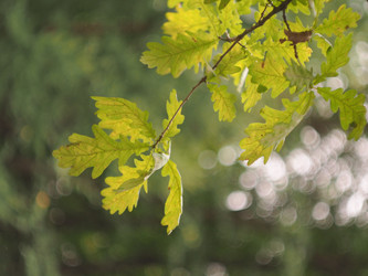 Similar image 22230400