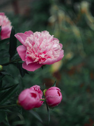 Similar image 22230401