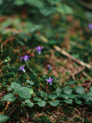 Similar image 22230403