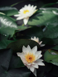 Similar image 22230421