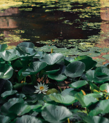 Similar image 22230422