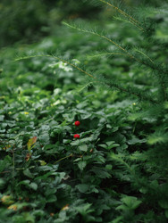 Similar image 22230423