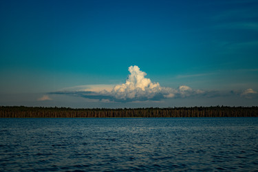 Similar image 22230717