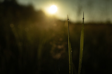 Similar image 22230718