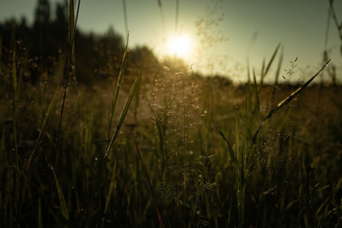 Similar image 22230719