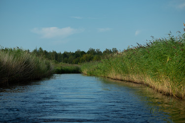 Similar image 22230721