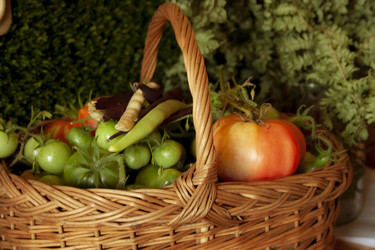 Similar image 22230726