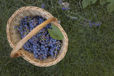 Similar image 22230727