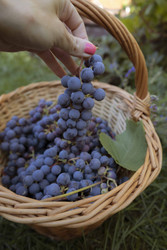 Similar image 22230729